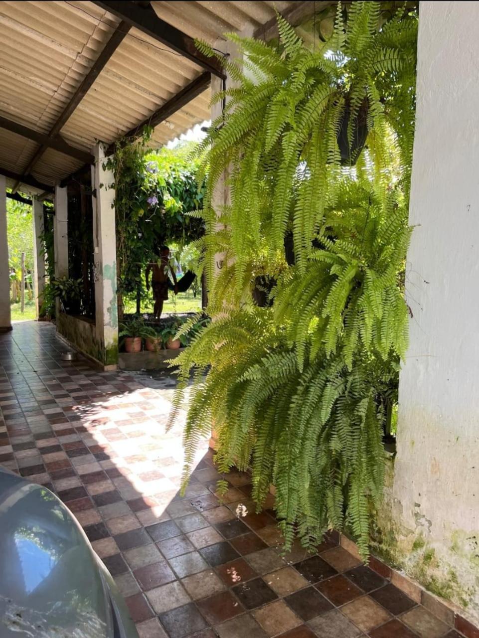 Chacara Completa Com Piscina ,2 Quartos, 20 Pessoas Itariri エクステリア 写真
